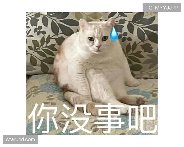 掌敏洁饭局散场抱着宵夜走出门，手腕那块表比我一个月工资还贵，表情像没事人