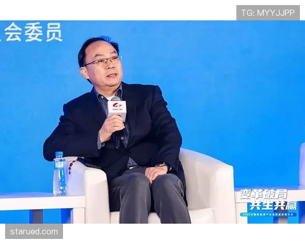 维尔茨与穆西亚拉未来潜力差距的关键制约因素分析 维尔茨与穆西亚拉未来潜力差距的关键制约因素分析