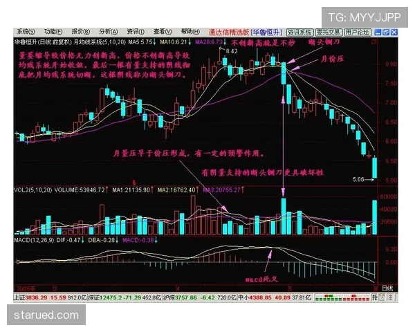 高位逼抢执行力突出：乌加特的压迫数据价值